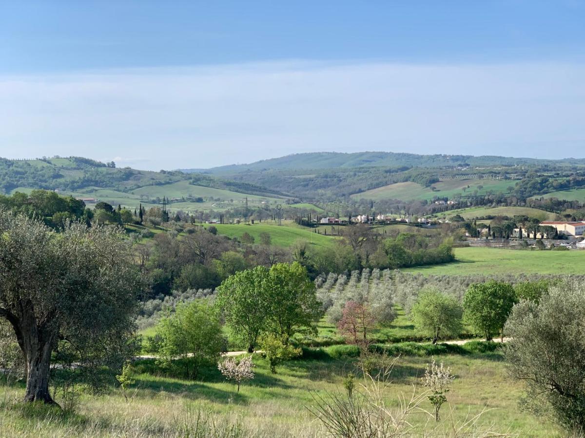 Bed and Breakfast Casale Terre Rosse Saturnia Exterior foto