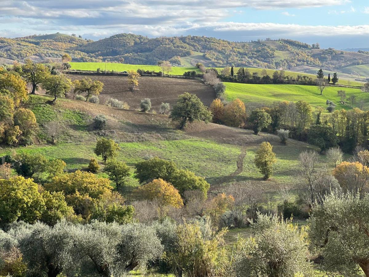 Bed and Breakfast Casale Terre Rosse Saturnia Exterior foto