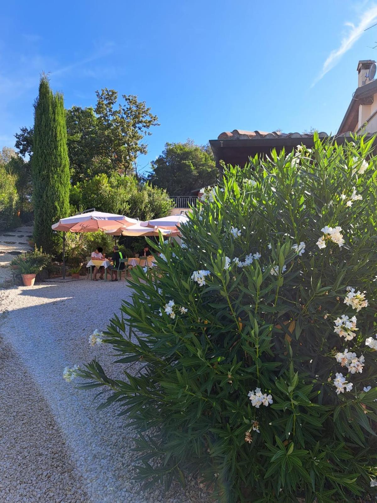 Bed and Breakfast Casale Terre Rosse Saturnia Exterior foto