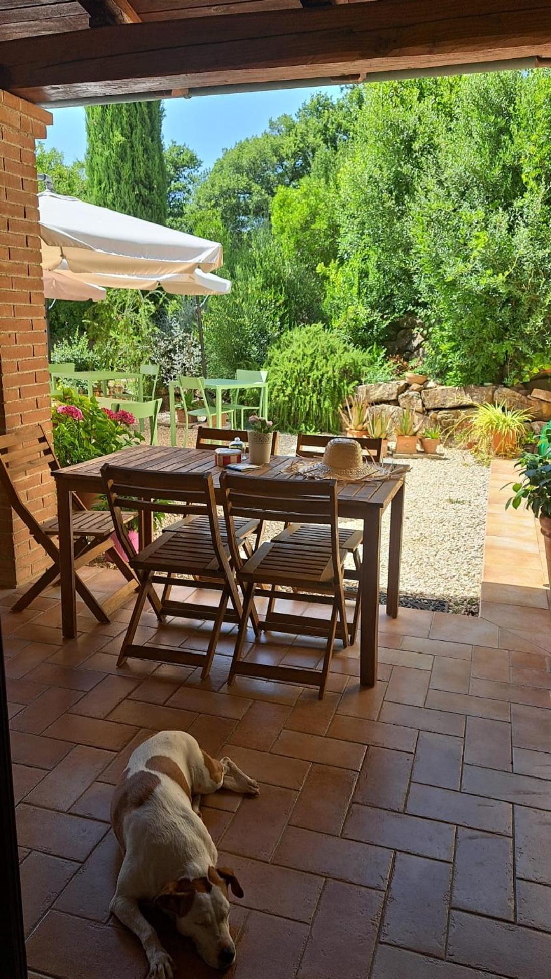 Bed and Breakfast Casale Terre Rosse Saturnia Exterior foto