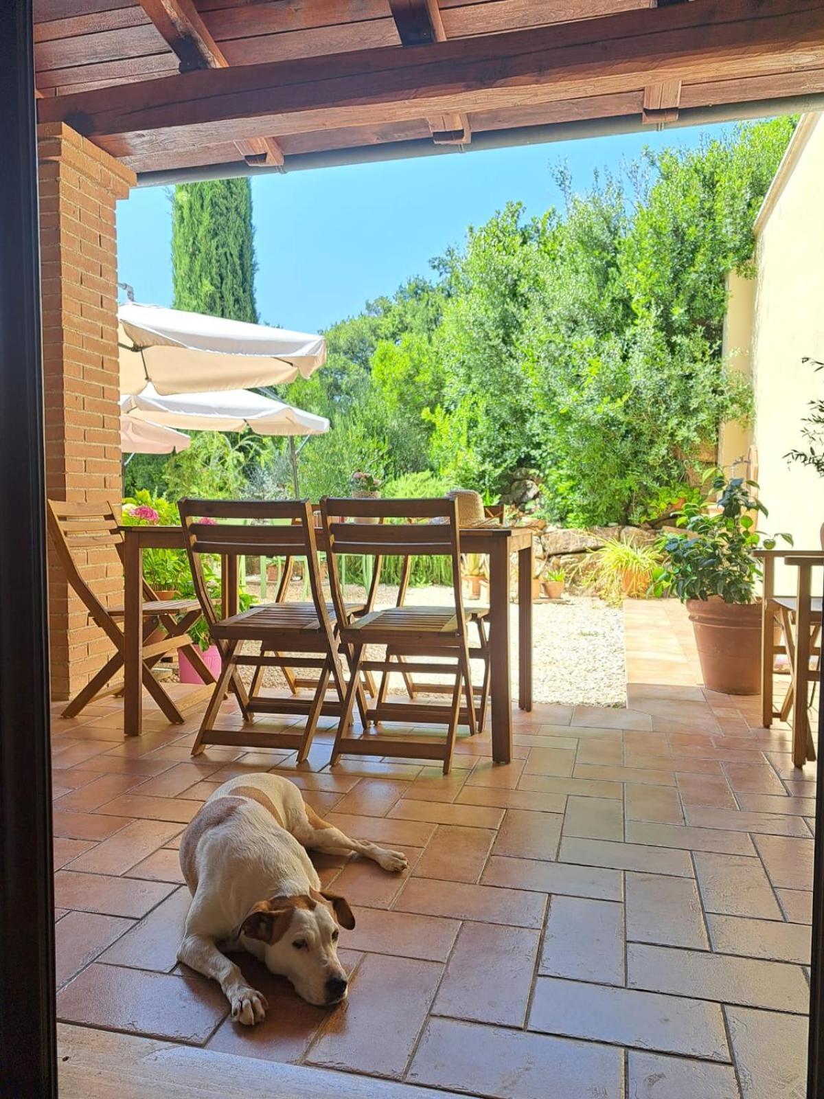 Bed and Breakfast Casale Terre Rosse Saturnia Exterior foto