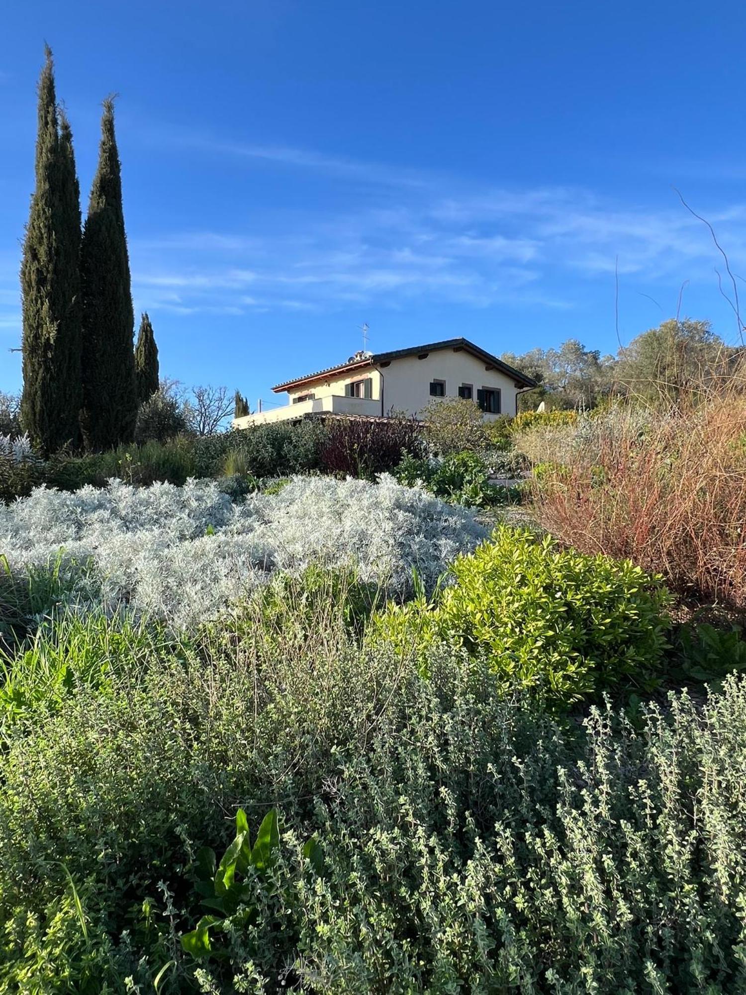 Bed and Breakfast Casale Terre Rosse Saturnia Exterior foto