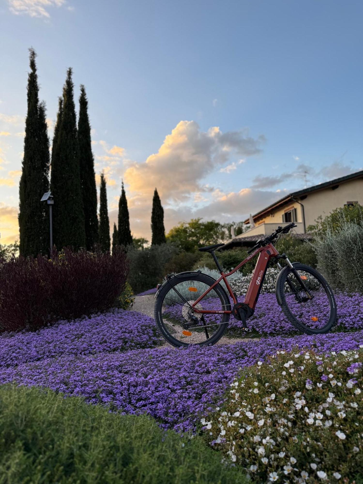 Bed and Breakfast Casale Terre Rosse Saturnia Exterior foto